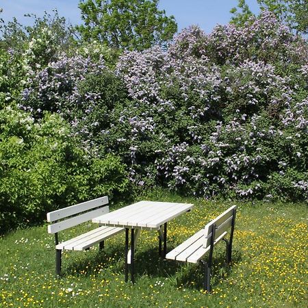 Klockaregarden I Hoegsrum Hogsrum Dış mekan fotoğraf